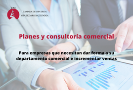Planes y consultoría comercial